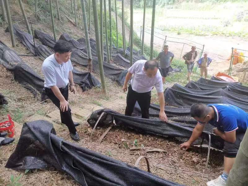 1539d19d19b5e22c7cf2a10d8009271.jpg 1539d19d19b5e22c7cf2a10d8009271.jpg